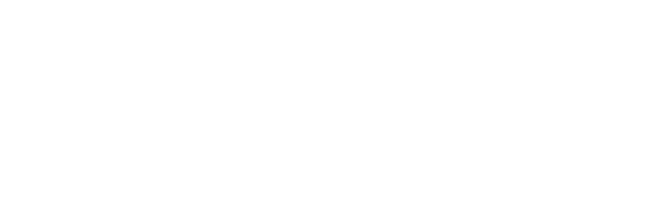 HorizonFlare Group